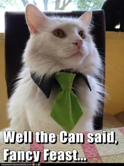 cat meme, well the can said, Fancy Feast, dressed up cat, cat fancy feast