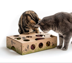 Cat Amazing’s Classic Puzzle Toy and Feeder
