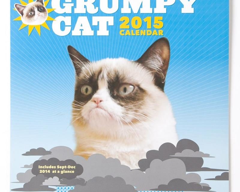 Grumpy Cat Calendar Modern Cat