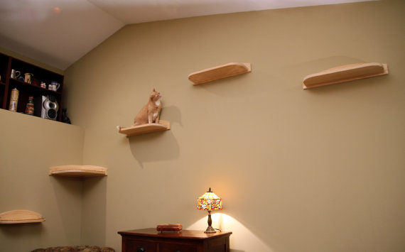 Mountain Cat Tree Cat Shelves - Modern Cat