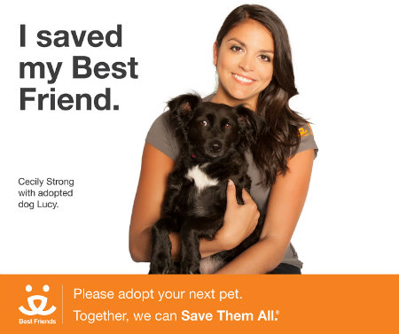 Perros Grandes  Best Friends Animal Society - Save Them All