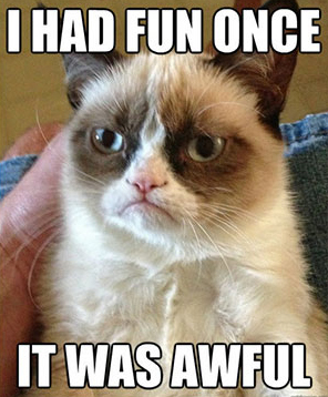 Grumpy Cat meme 'I had fun once, it was awful'