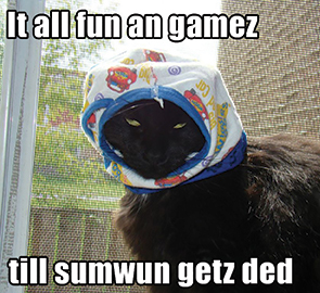 cat internet meme 'it was all fun an games till sumwun getz ded'