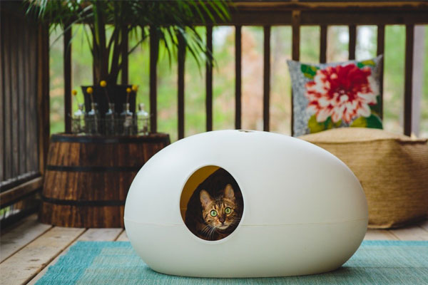 cool litter boxes