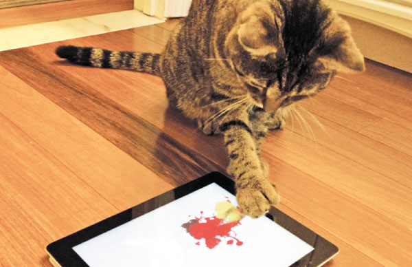 cat painting app 