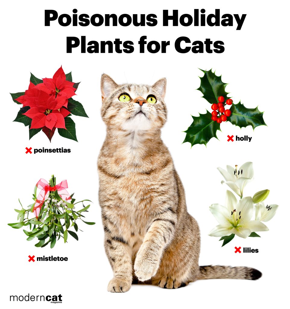 poisonous plants for cats