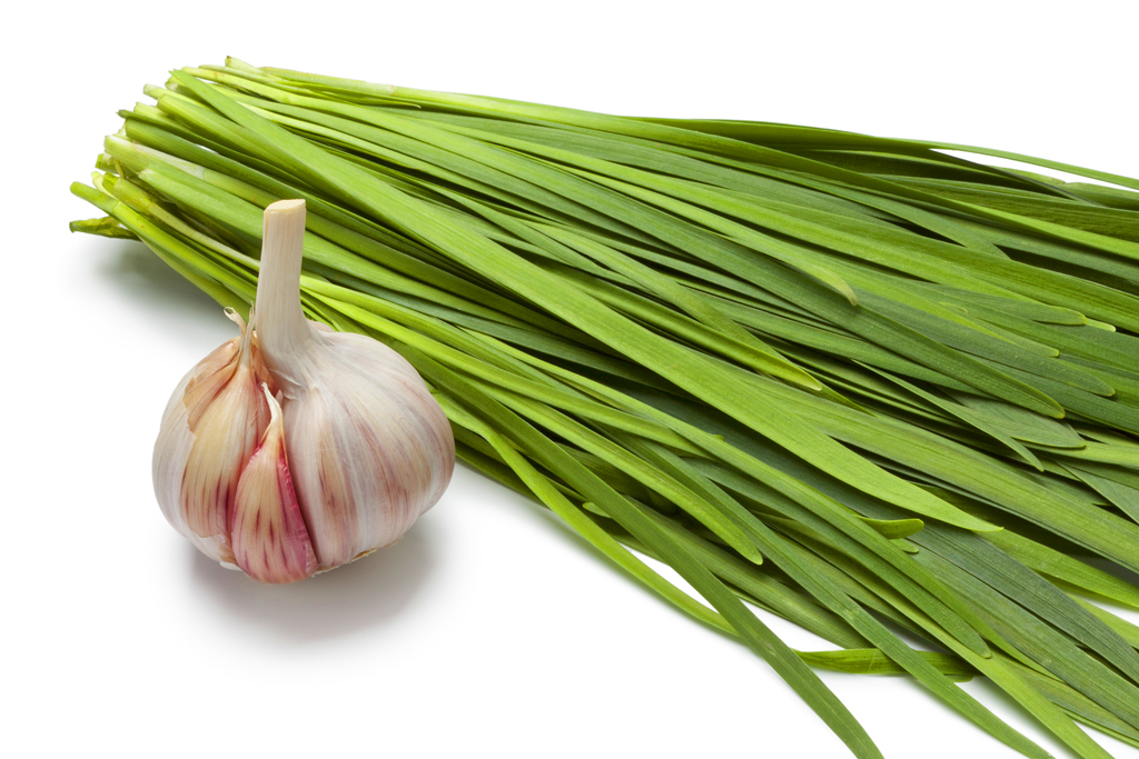 garlic and chives