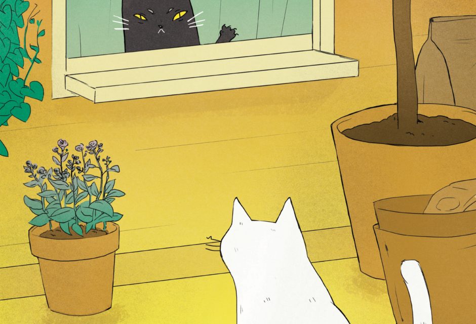 Graphic of black cat looking out window at white cat