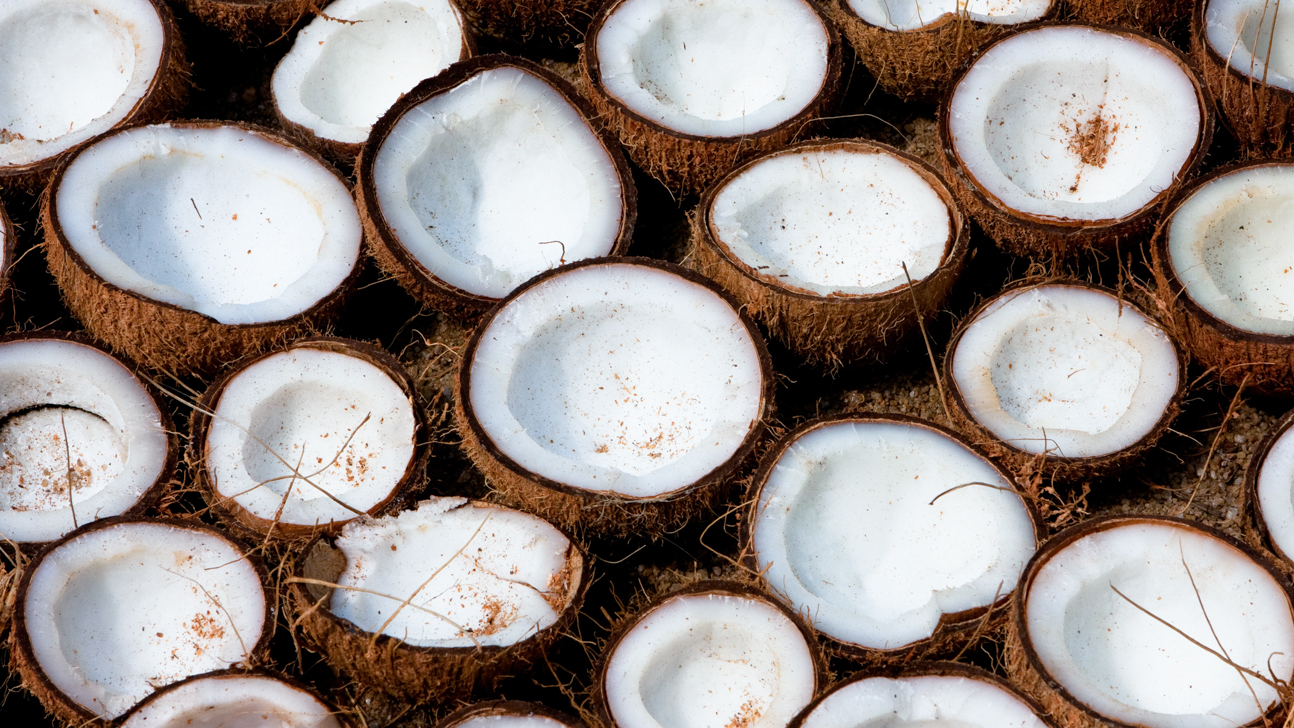 Is Coconut Oil Safe for Cats? Benefits & Risks Modern Cat