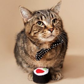 make a toy for your cat with a DIY sushi felt toy