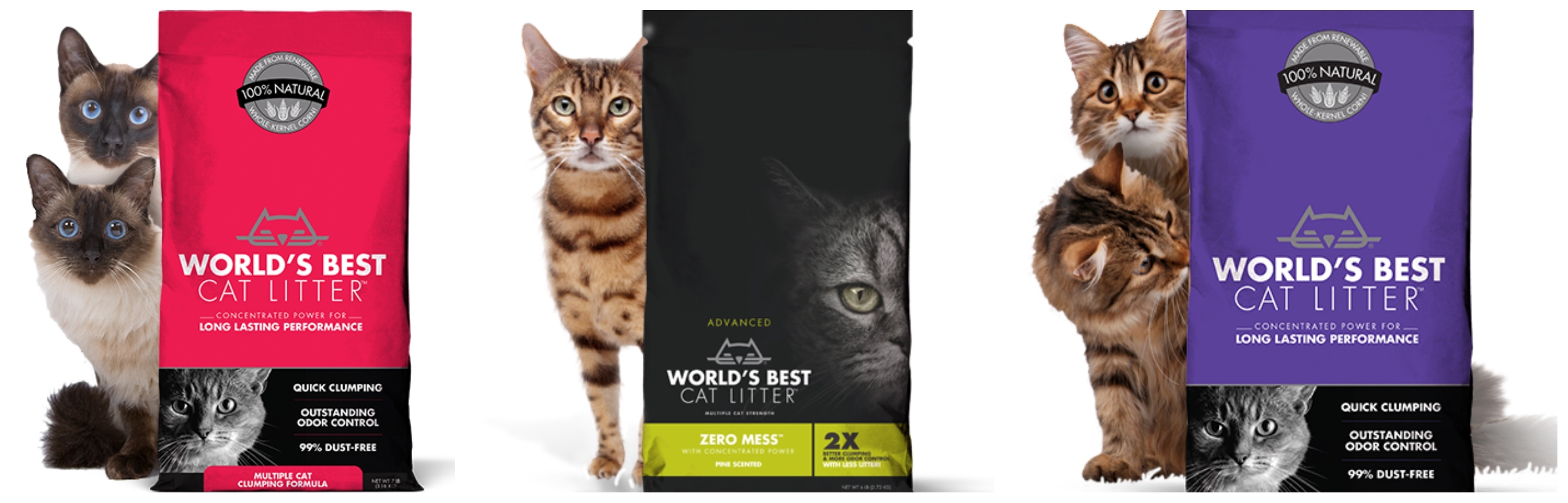 Best cat litters 2018 best sale