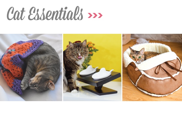 Digital-Gift-Guide_CAT ESSENTIALS