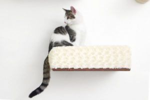 cat lounging in large plush shelfing unit