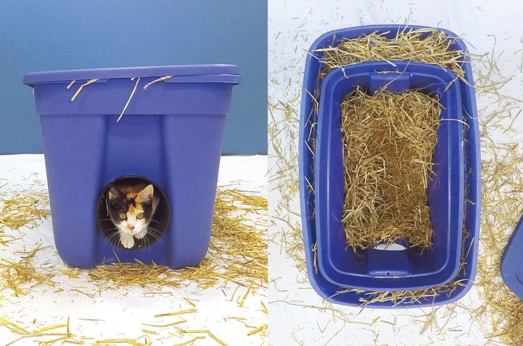 cat shelter to protect cats from the cold
