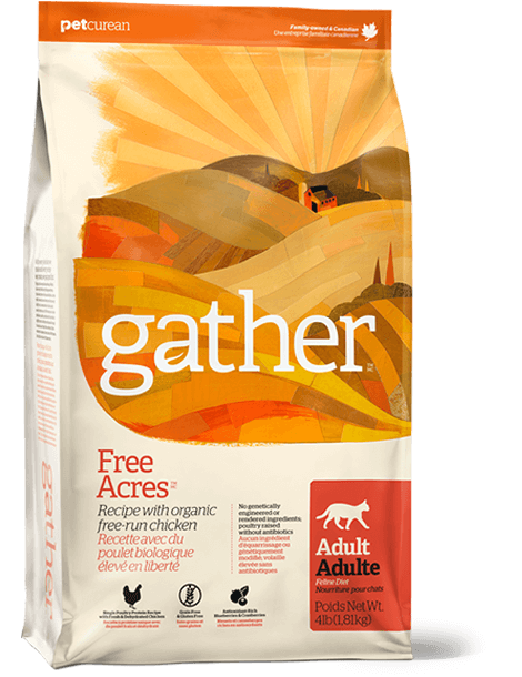 petcurean gather cat food