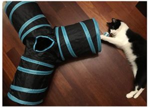 Collapsible cat tunnel with ball