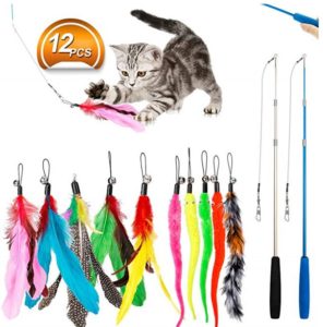 Jairon Cat Feather wand toy