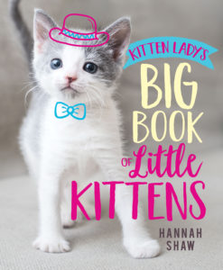 Gifts for cat lovers: Kitten Lady Book