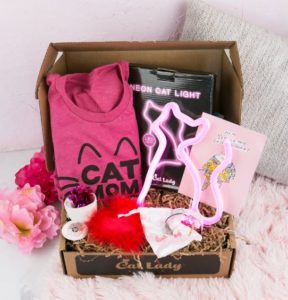 Gifts for cat lovers: cat subscription box