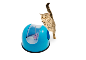 Cat Toy Gifts: Interactive Cat Toy 