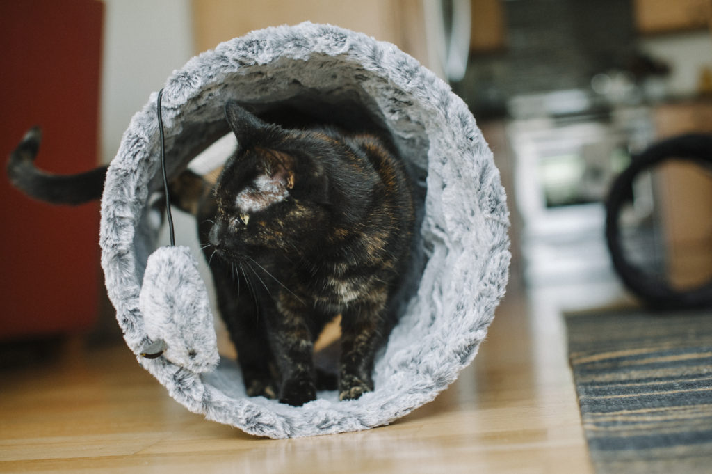 Cat Toy Gifts: Cat Tunnel 