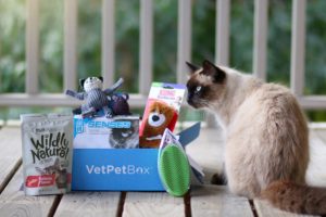 Gifts for cat owners: cat subscription box 