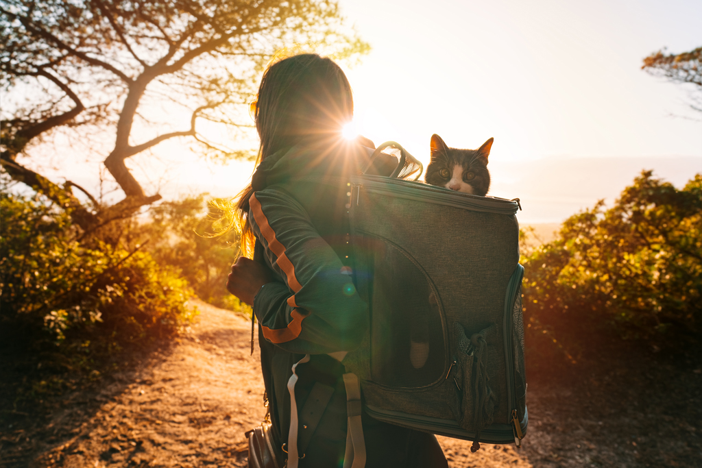 Woman walking outdoors in nature with her lovely cat in backpack carrier