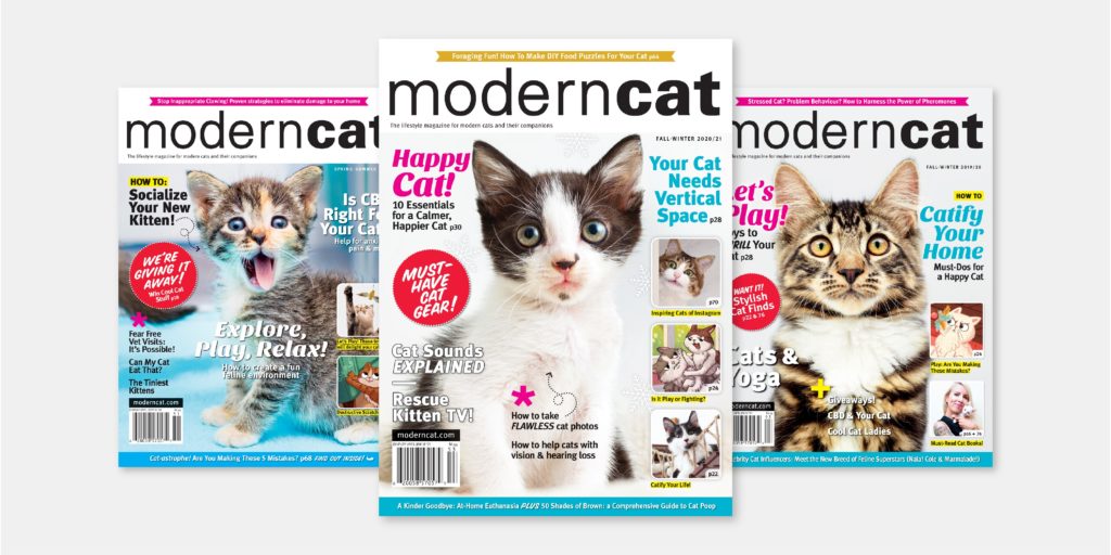 Holiday Gift Guide - Modern Cat Subscription