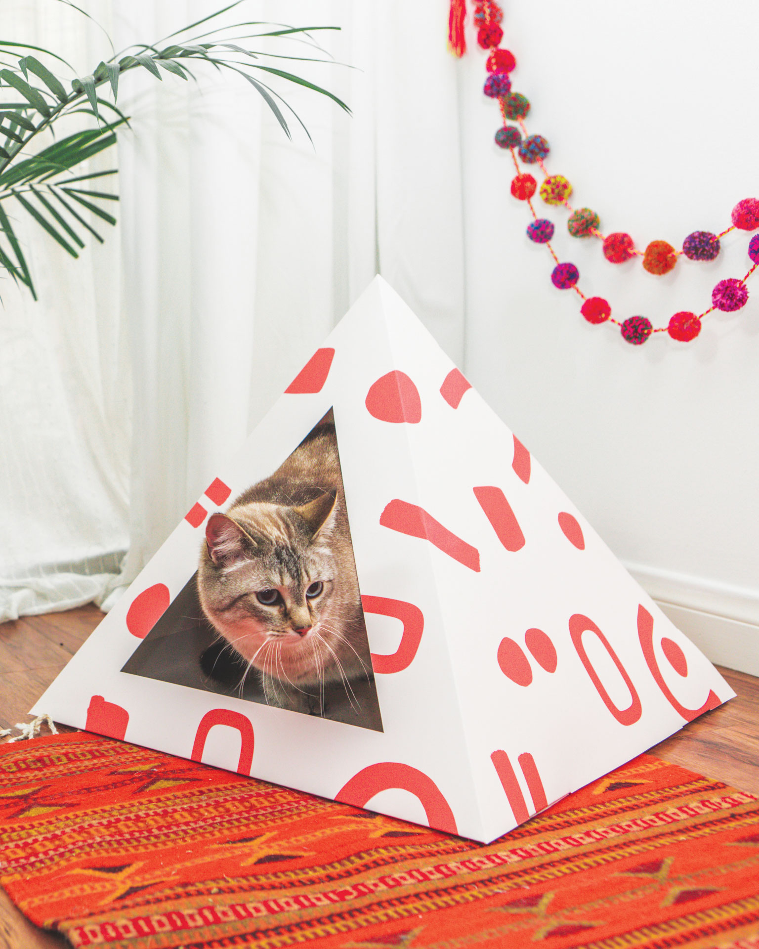 Scatter Cardboard Cat Pyramid.