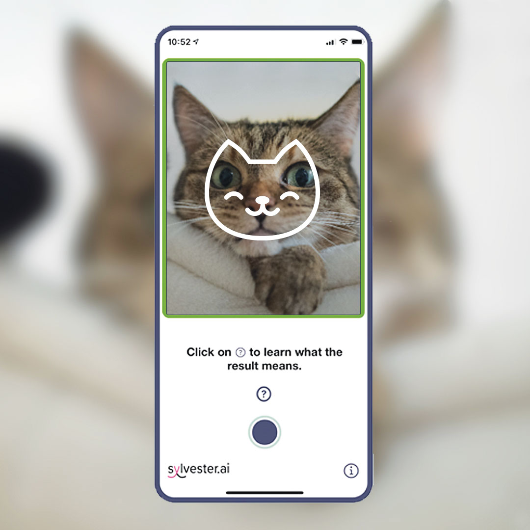 Cat Apps - Tably