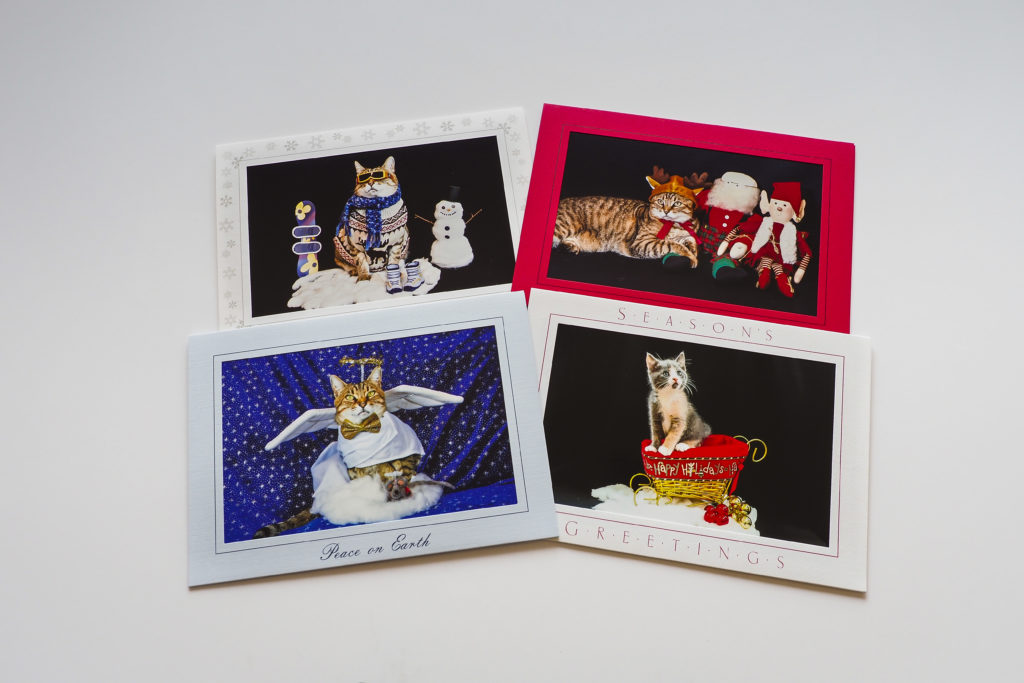 Holiday Gift Guide - DressUpCat Cards