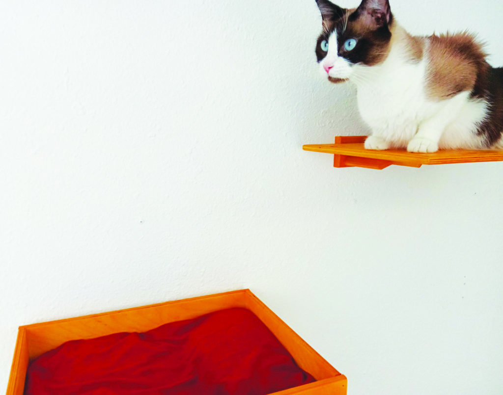 Holiday Gift Guide - A Cat's Domain
