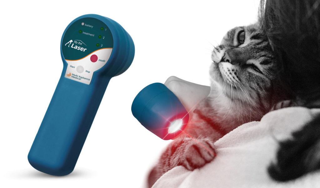 Holiday Gift Guide - My Pet Laser.