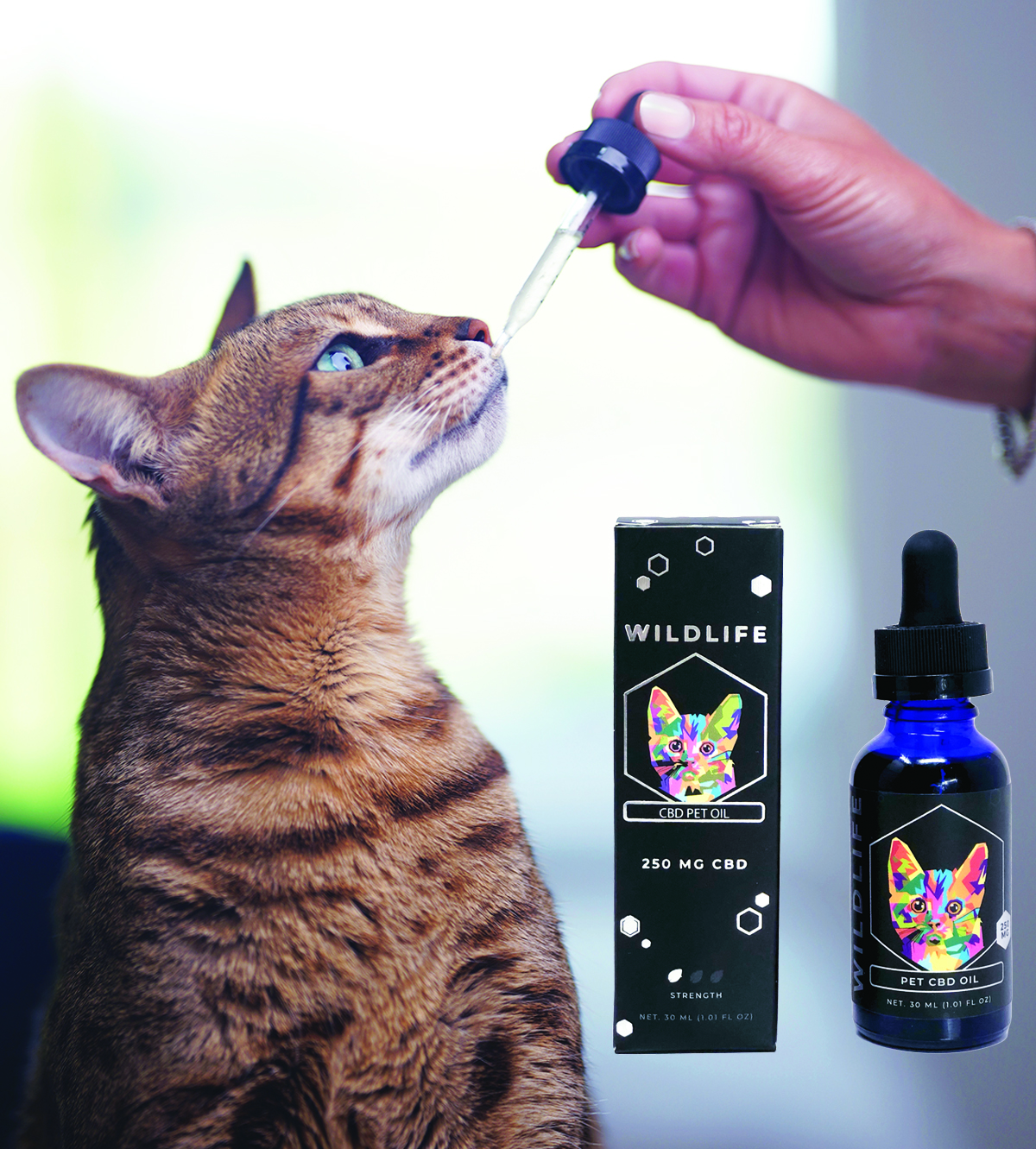 Holiday Gift Guide - Creating Better Days CBD Wildlife Sublingual