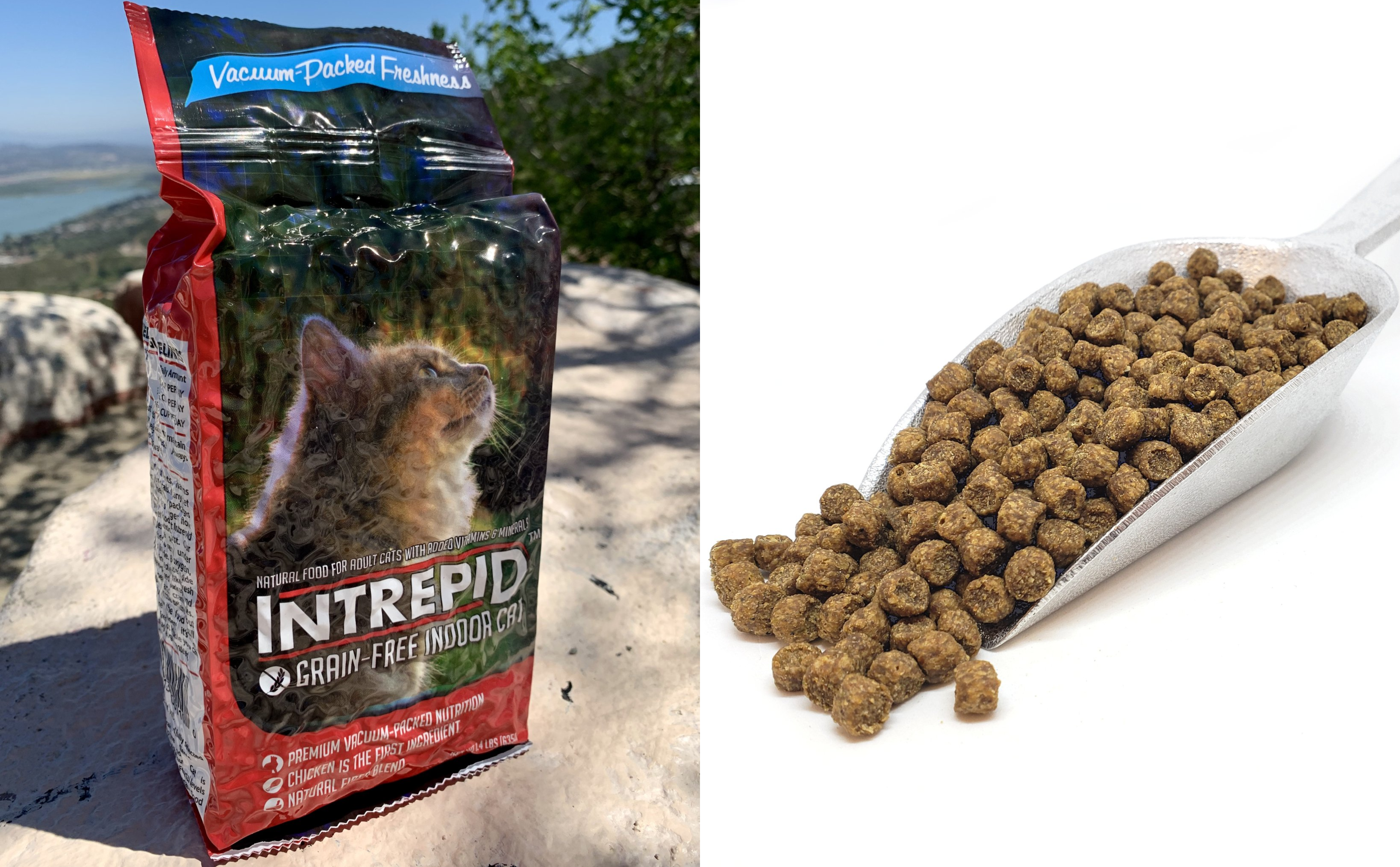 Holiday Gift Guide - Intrepid Indoor Cat Food.