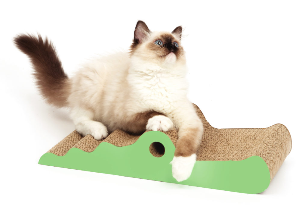 Holiday Gift Guide - Catit Scratcher.