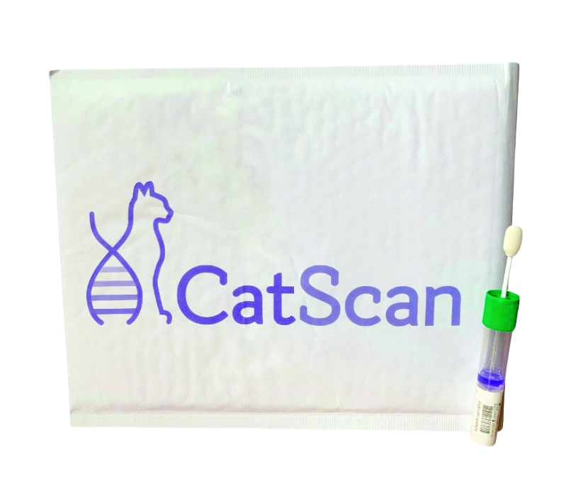 Holiday Gift Guide - My CatScan Genetic Health Screening.