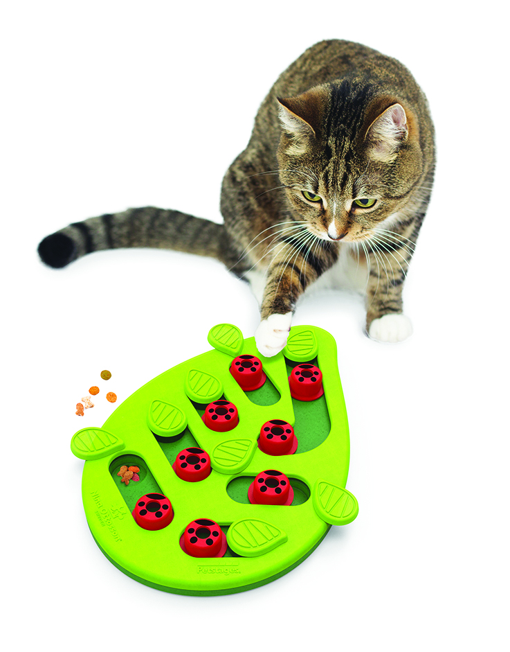 Holiday Gift Guide - MyThreeCats Buggin' Out Puzzle Toy.