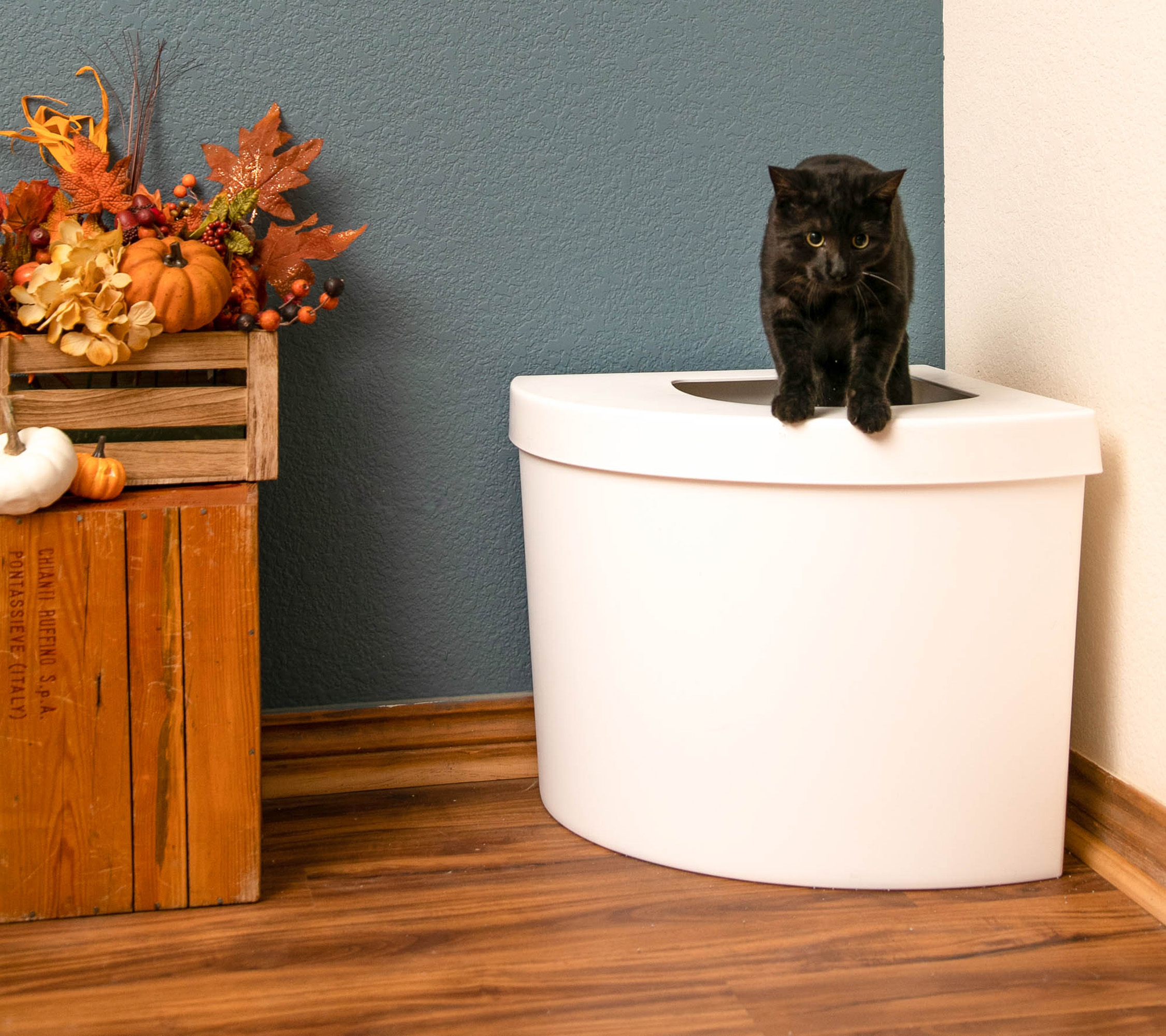 Holiday Gift Guide - Kitangle's Top Entry Corner Kitty Litter Box.