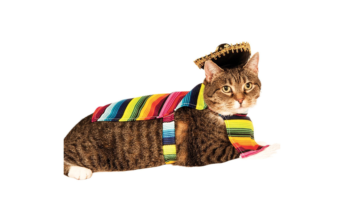 Mexican Cat Costume - Modern Cat