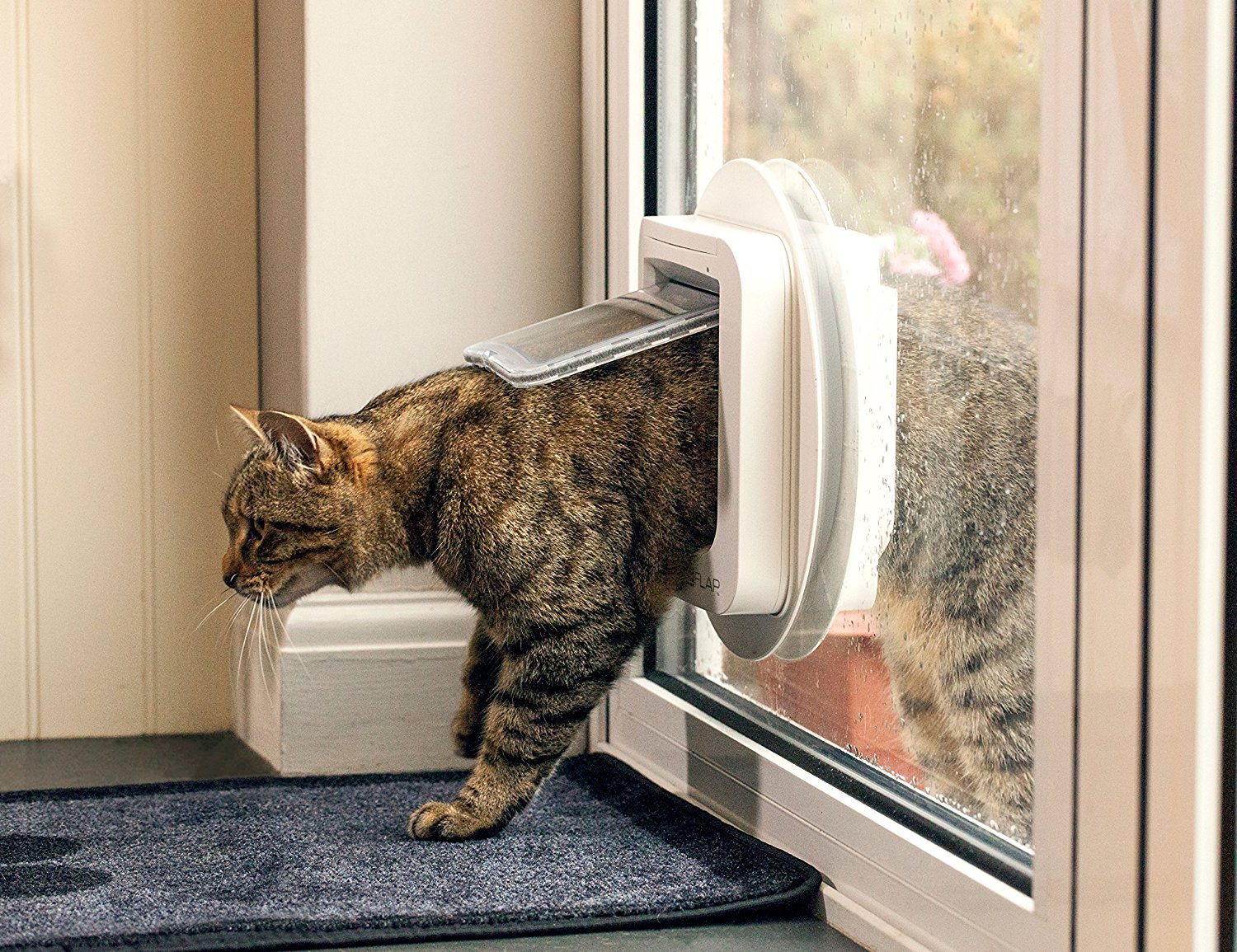 Stylish cat sale flap