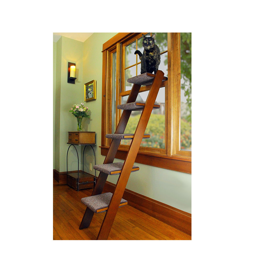 Kitty ladder hotsell