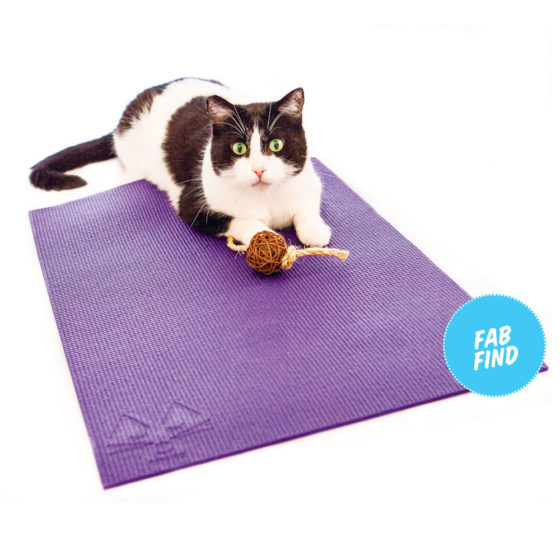 Cute Cat Foam Yoga Mat - Geek Store