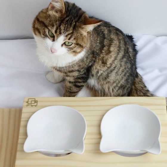 Elevated Cat Bowls with Stand -15° Tilted Platform Pet Feeder Solid Pine  Stand with Ceramic Bowls-Elevated Cat Feeder Raised Cat Food Bowl in 2023