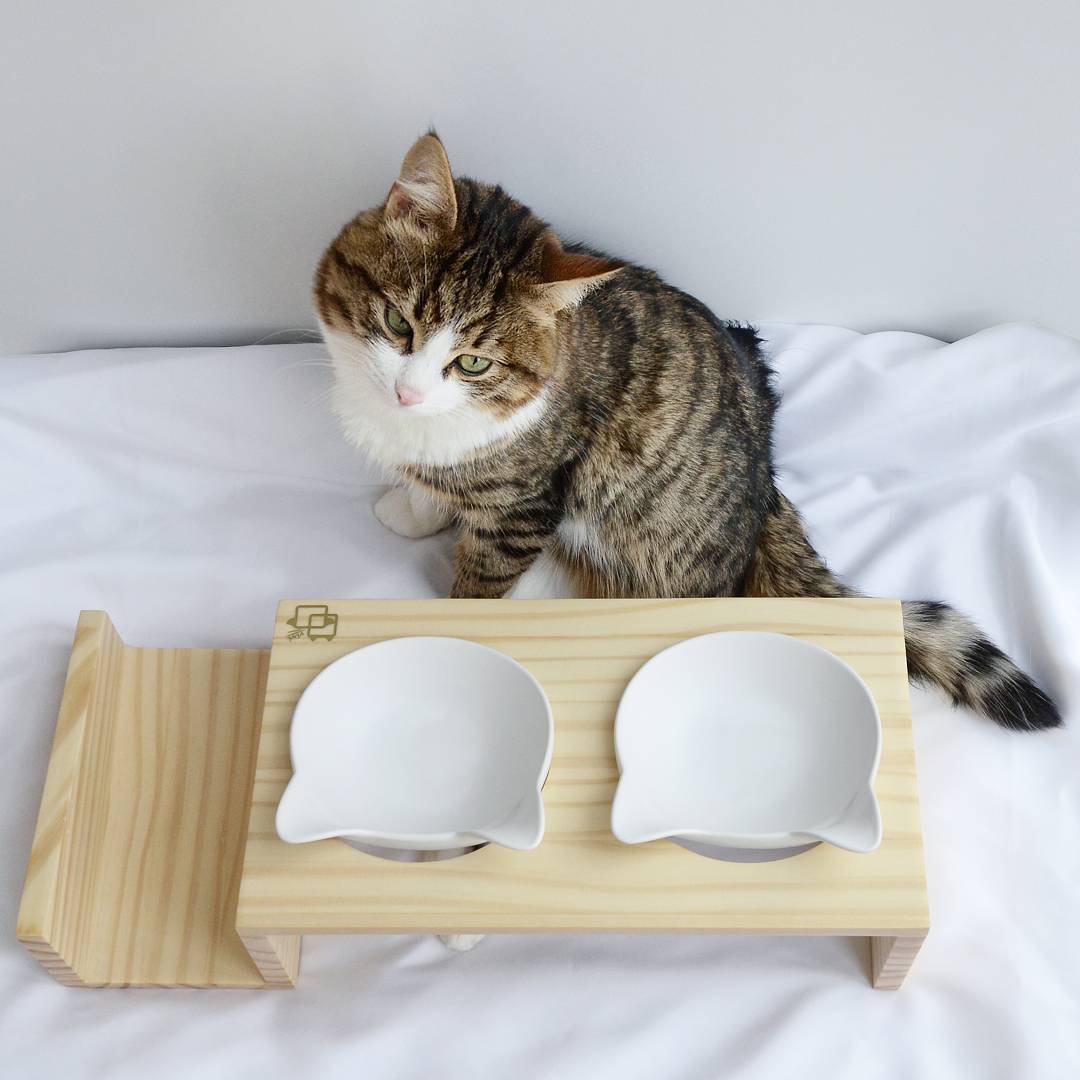 Chow Meow: Modern Elevated Cat Feeder