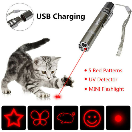 laser pointer cat