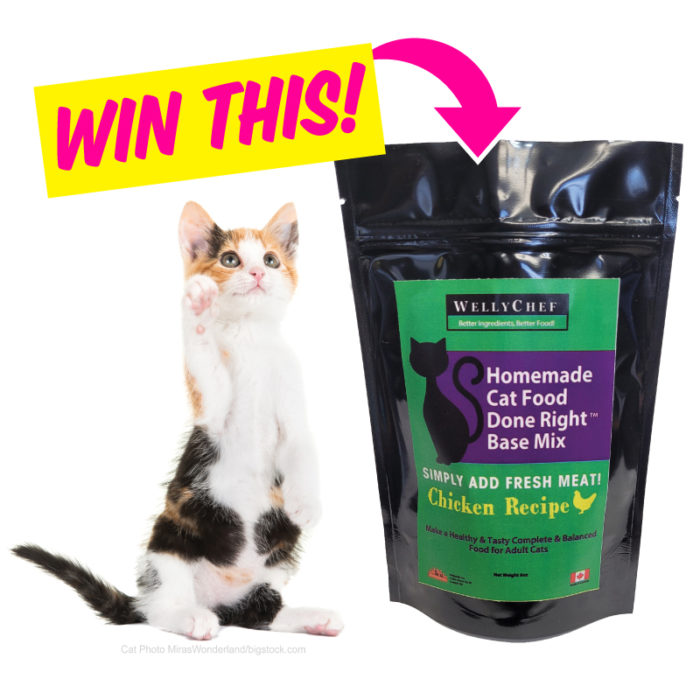 cat food giveaway