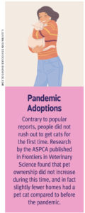 How the pandemic affected pet ownership