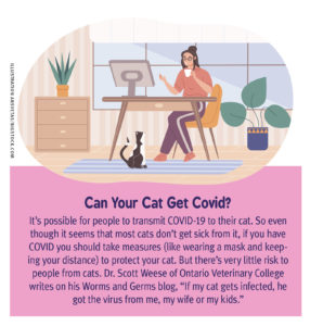 Can Your Cat Get Covid?