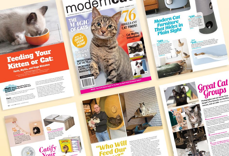 Modern Cat Issue Release Spring Summer 2022